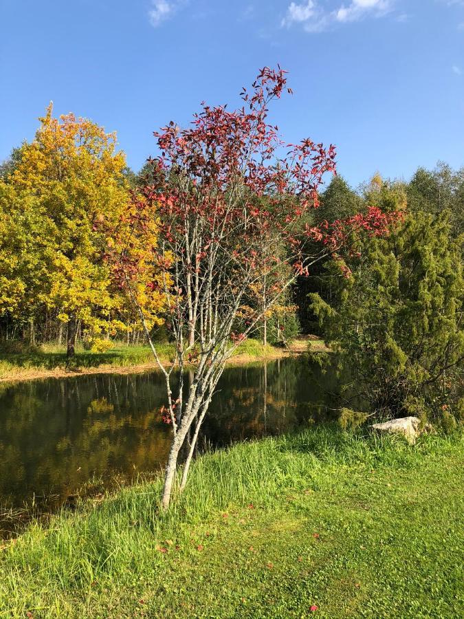 Uueparu Villa Tuuliku Eksteriør billede